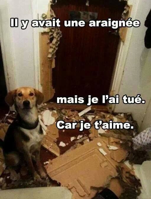 destruction