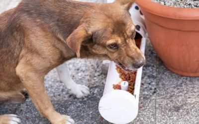 protection de ressource