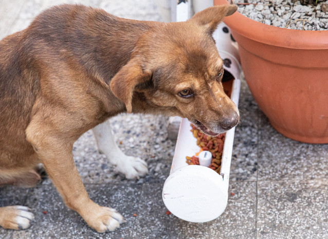 protection de ressource